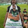 João Gonçalves's profile picture