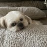 Beckylou profil fotoğrafı