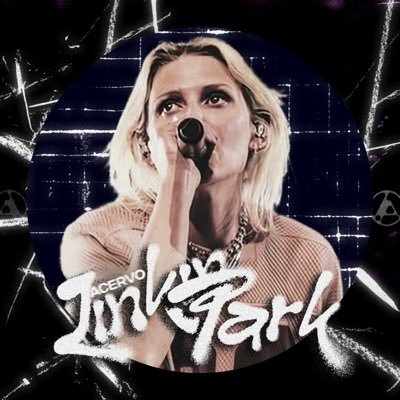 acervolinkinp's profile picture