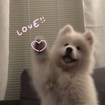 Ori's profile picture