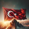 HALİT TEMİZKÖK's profile picture