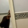sipho profil fotoğrafı