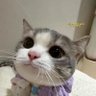 Profilbild von Riyal Rhea