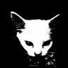 Profilbild von ?