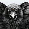NGP profil fotoğrafı