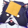Profilbild von RitzDaCat