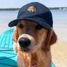 Uncle Bloom 🏳️‍⚧️'s profile picture