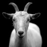 Profilbild von J.P