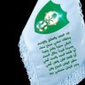 💚 بطل النخبتين والسوبر 🏆 profil fotoğrafı