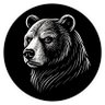 Profilbild von Paulo - O Último Bear do X