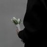 Profilbild von -