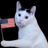 Profilbild von Miss Whiskers