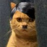Profilbild von Munna
