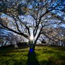 Фото профиля イギータ