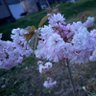あき profil fotoğrafı
