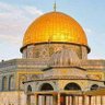 Фото профиля ابوبکر مهاجر