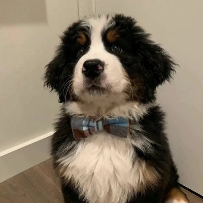 xxxydd1's profile picture