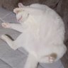 Фото профиля 眠い