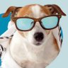 Profilbild von @mei