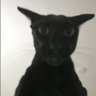 LARRY profil fotoğrafı