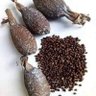 Фото профиля Ifaboluwatife