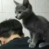 清风 profil fotoğrafı