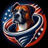 The American Boxer profil fotoğrafı