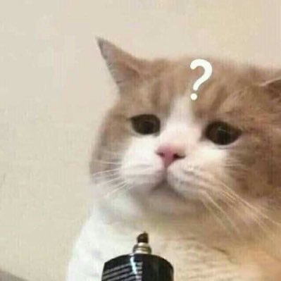 muffi3nꉆꃔ🧁's profile picture