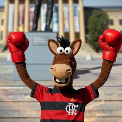 cavalinhodoflaa's profile picture