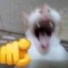Blurgg 的头像