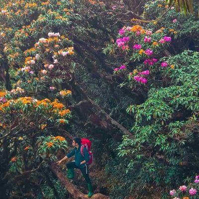 Nguyn14921784's profile picture