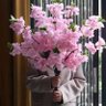 mona 的头像