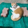 kinkhaongunmai's profile picture