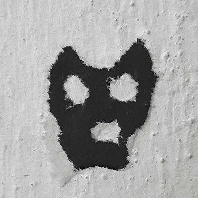 Zina_Caramelo's profile picture