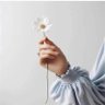 Taif Rabi' profil fotoğrafı