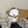 Profilbild von つばさ❤︎🐾