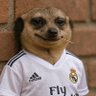 Profilbild von Pilato ๐โ