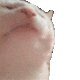 ecklesee's profile picture