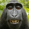 Your Father's profile picture