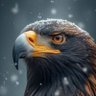 الصقر's profile picture