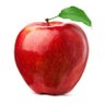 Abdulrahman's profile picture