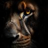St. JABAL's profile picture