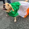 Фото профиля Ulaseas of Ériu 🇮🇪