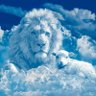 Mighty Rise profil fotoğrafı
