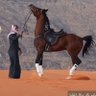 Фото профиля سالم التميمي