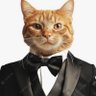 Profilbild von formalcatattire