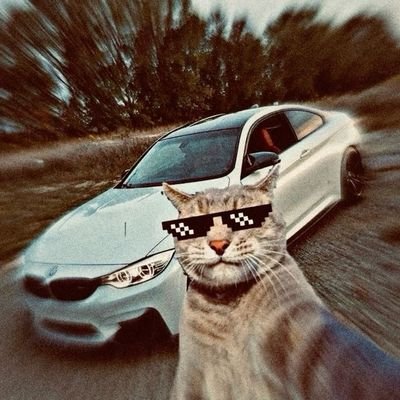 dochudsonoffl's profile picture