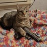 dude profil fotoğrafı