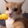 Zoar's profile picture