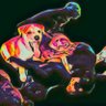 WhoKnowsWhy's profile picture